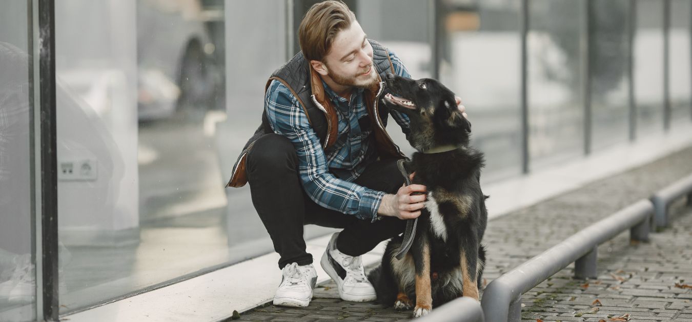Allegiant Air Pet Policy