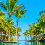 Best Time to Visit Cancun