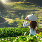 Best Time to Visit Vietnam