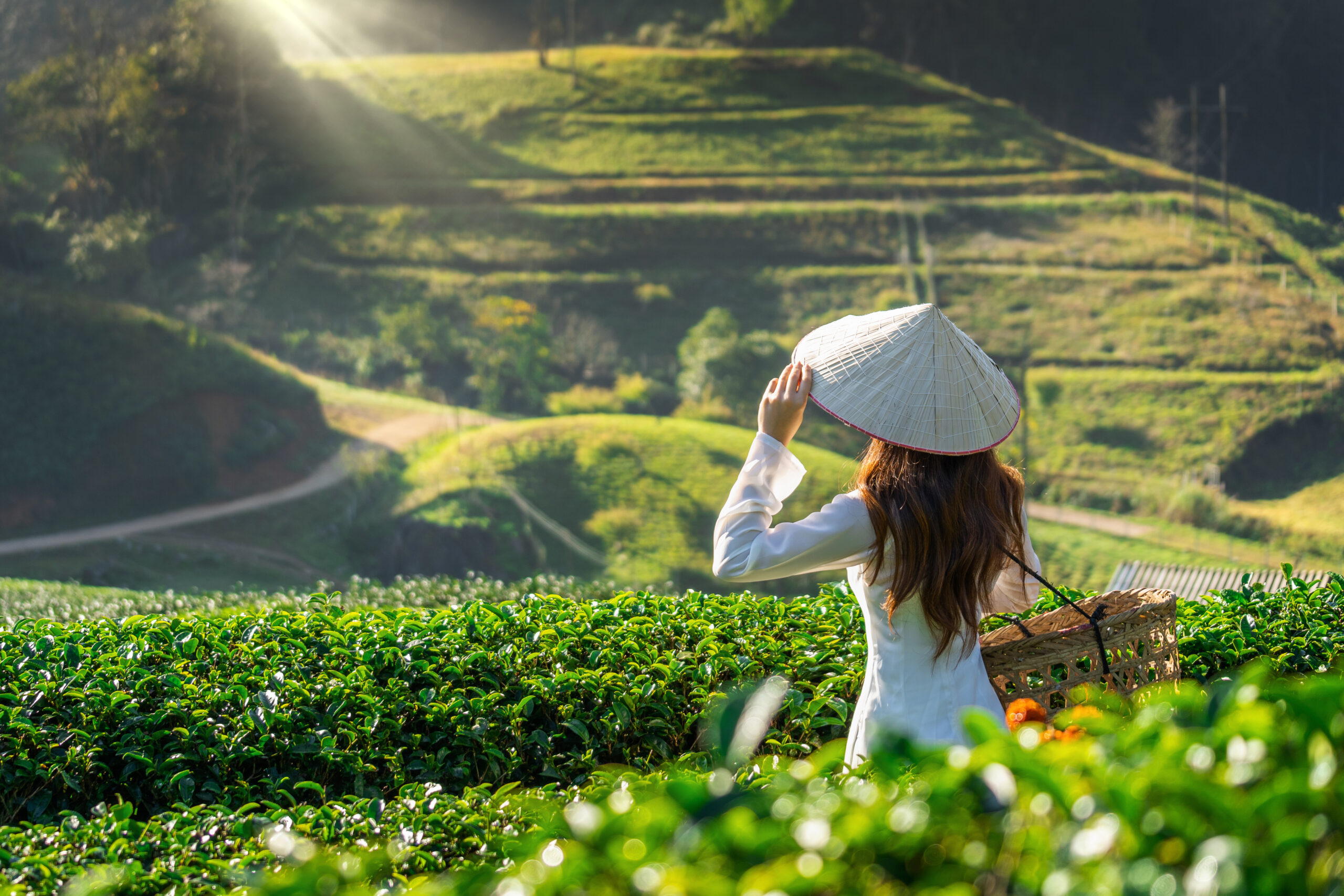 Best Time to Visit Vietnam